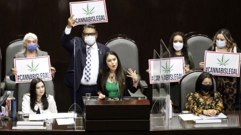 Politicians have been urging the approval of the regulation of marijuana.