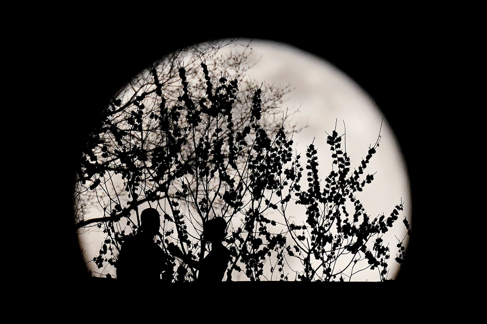 A couple are silhouetted against the rising full moon as they gather in a Kansas City, Missouri park on Sunday.