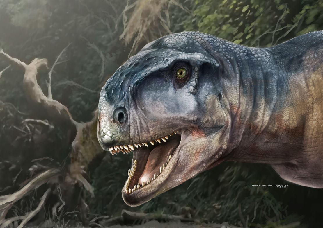 T. rex may have had 2 equally terrifying sibling species, new