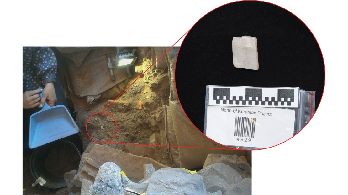 A calcite crystal being excavated from 105,000-year-old deposits at Ga-Mohana Hill North Rockshelter.