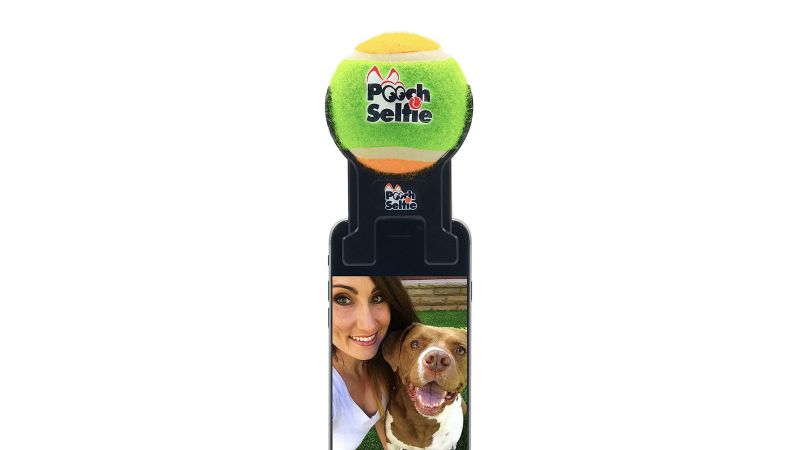 Dog 2024 selfie ball