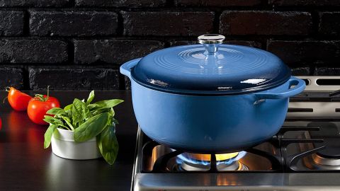 Lodge Enameled Cast-Iron Dutch Oven