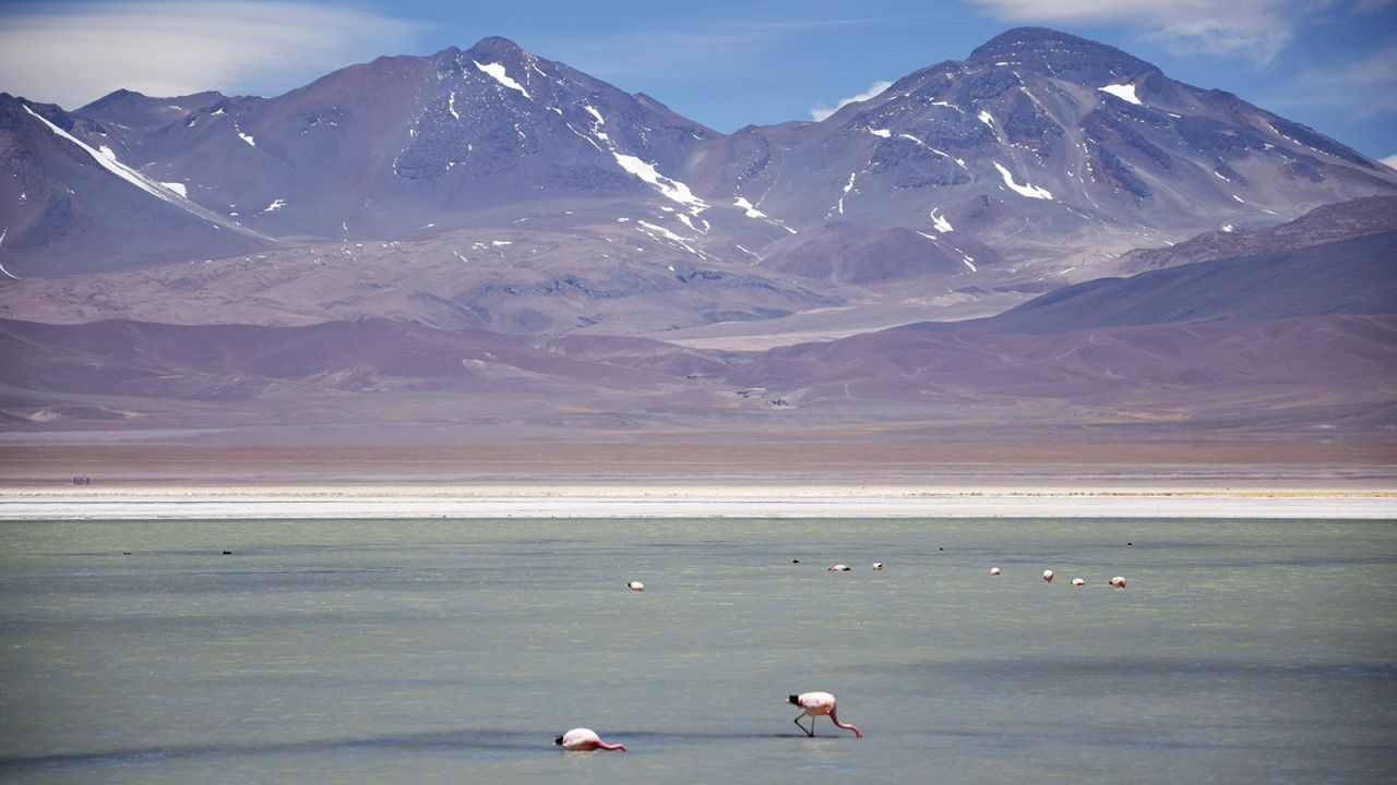 Nevado Tres Cruces National Park is home to flamingos.