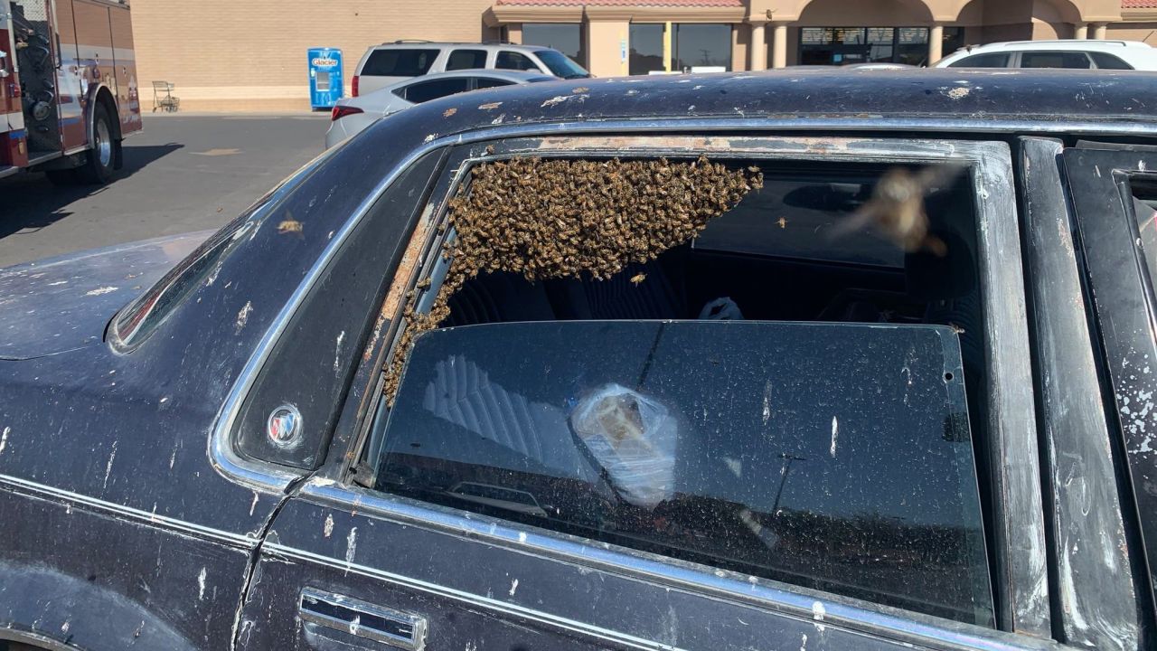 The bees entered the car when the man was in a grocery store. 