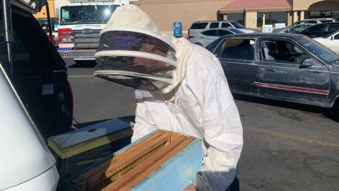 Off-duty Las Cruces firefighter Jesse Johnson used his experience as a beekeeper to safely relocate a swarm that invaded a parked car Sunday afternoon.