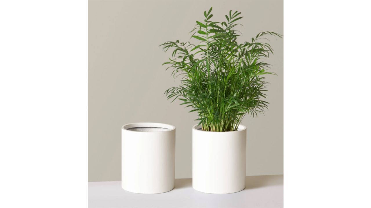 Burbank Lightweight Planter