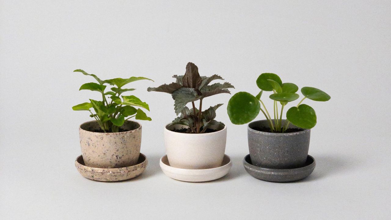 Harmony Mini Planters