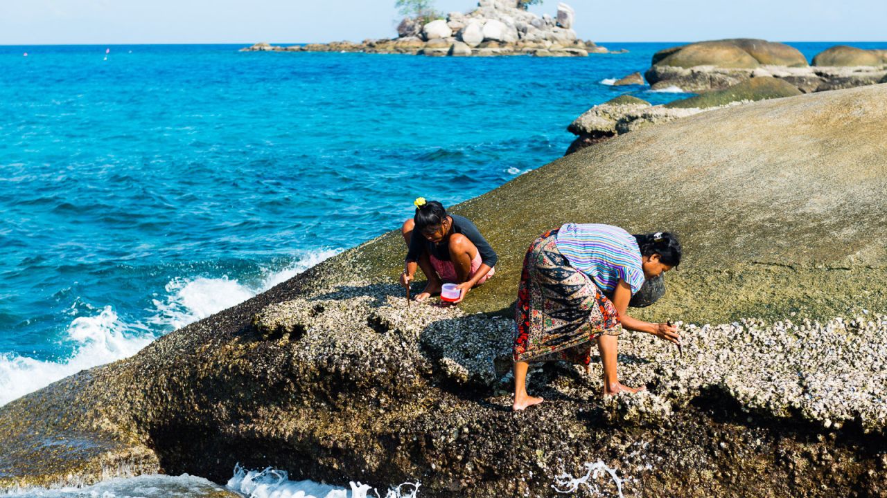 Members of Thailand's Moken ethnicity collect oysters on a small island in Thailand's Mu Ko Surin National Park.