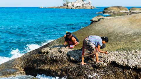 Members of Thailand's Moken ethnicity collect oysters on a small island in Thailand's Moo Ko Surin National Park, in the country's south.