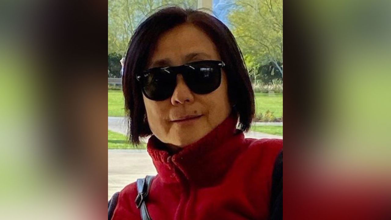 Ke Chieh Meng, 64, was randomly stabbed and killed while walking her dogs, police said.