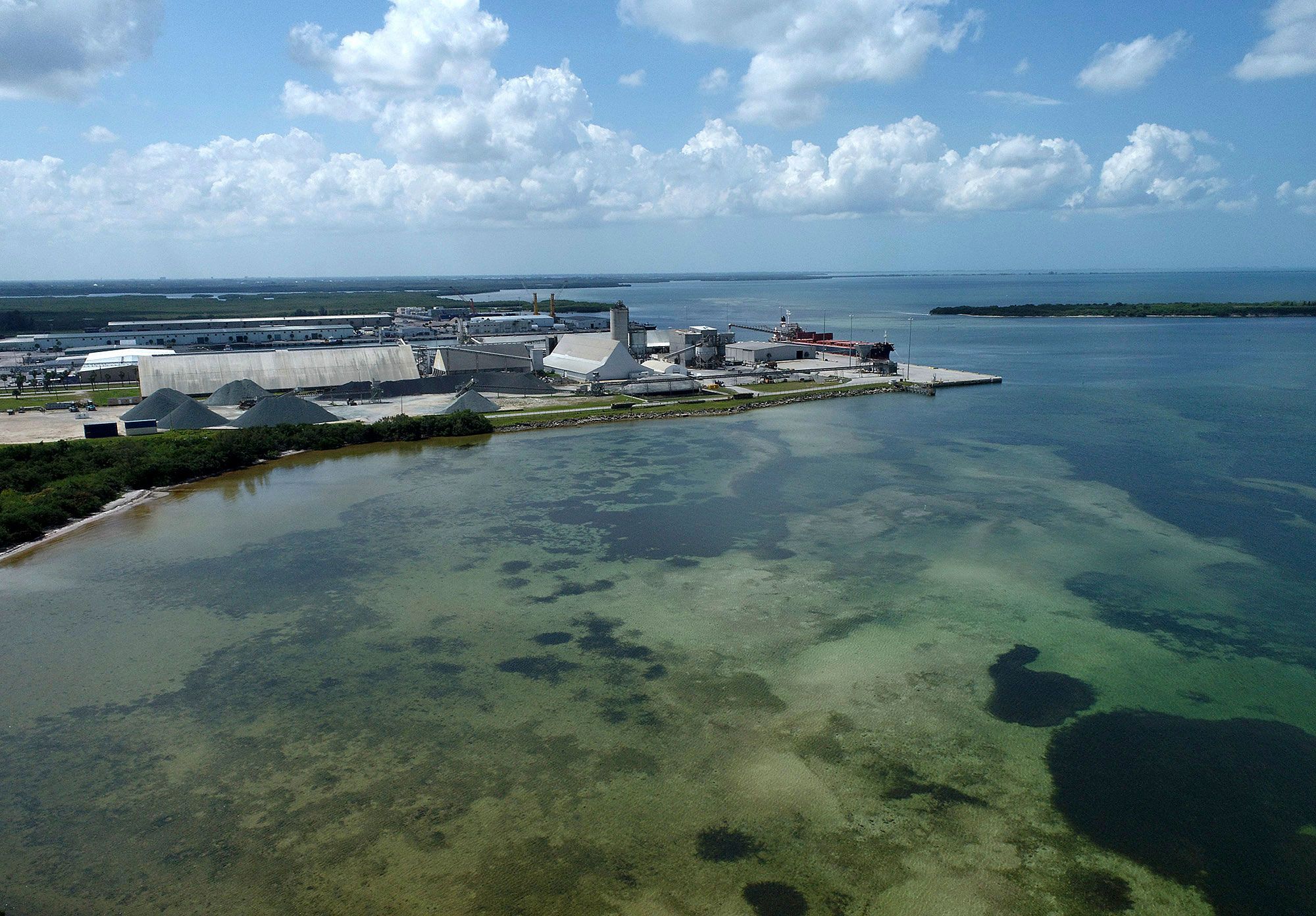 Old Tampa Bay Water Quality, Environmental Services