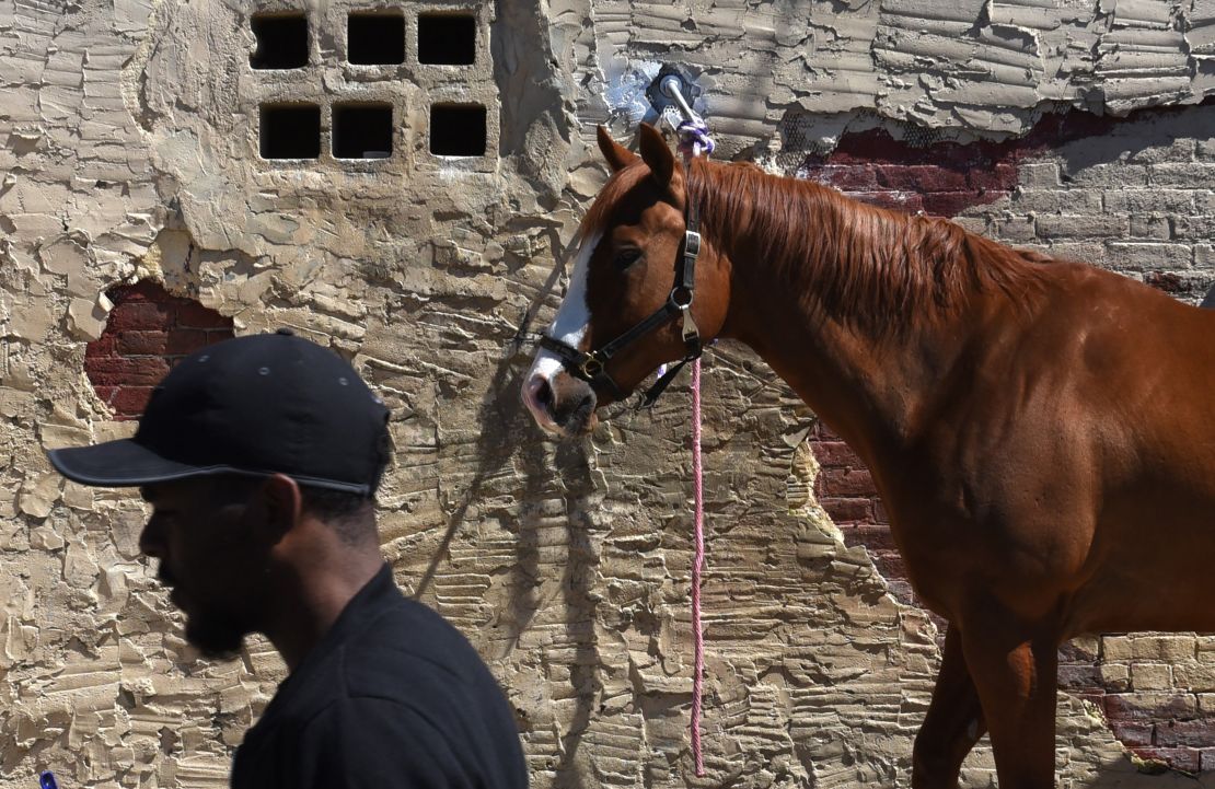 A horse tied up at the Fletcher Street Urban Riding Club in north Philadelphia.
The club teaches horsemanship to keep neighborhood kids out of trouble.