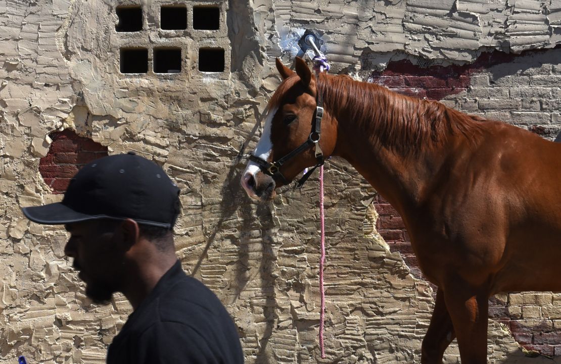 A horse tied up at the Fletcher Street Urban Riding Club in north Philadelphia. 
The club teaches horsemanship to keep neighborhood kids out of trouble.