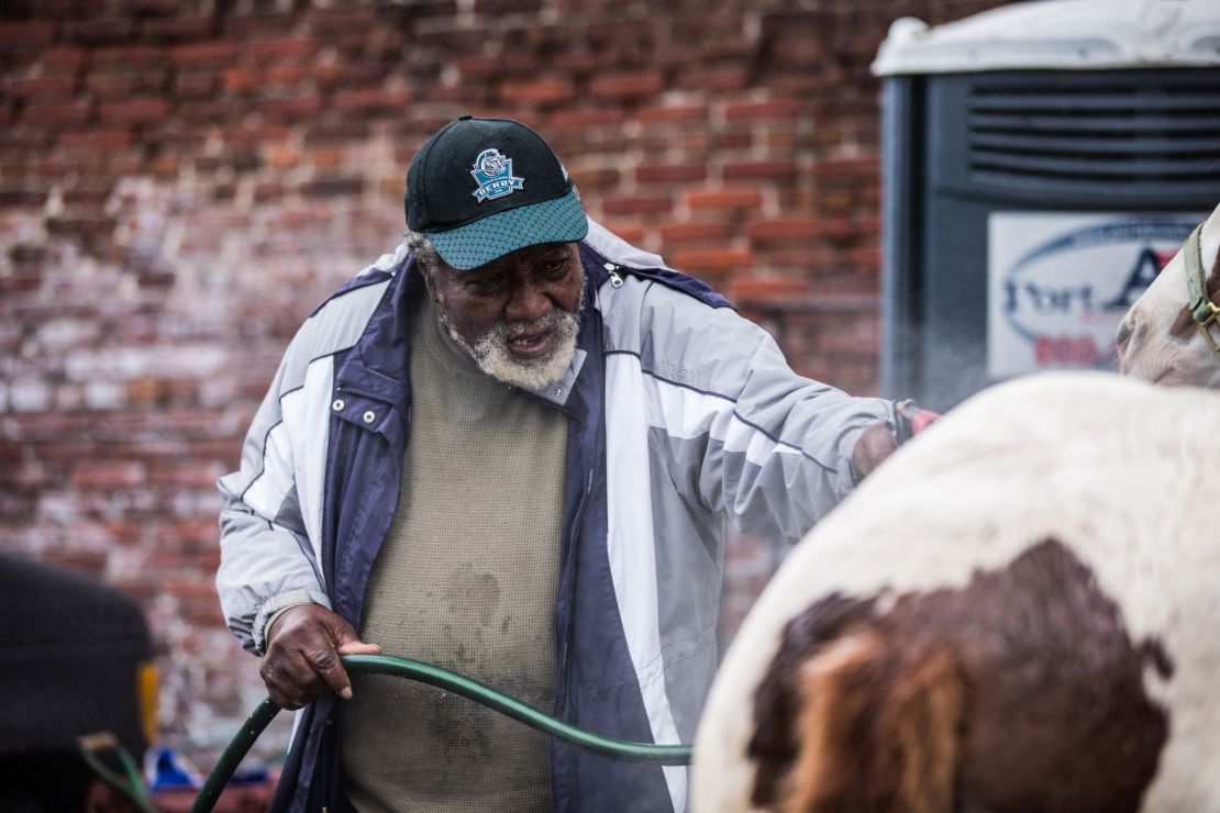 Ellis Ferrell prepares his horses for a voter turnout event last November. 