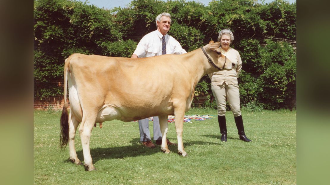 Queen Elizabeth, pictured here with one of her cows in 1992, struck up a long friendship with farmer Don Ferguson.