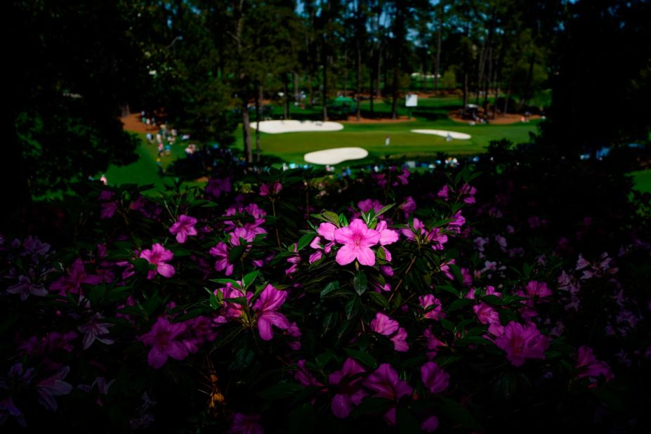 Azaleas frame the 16th green on Monday.