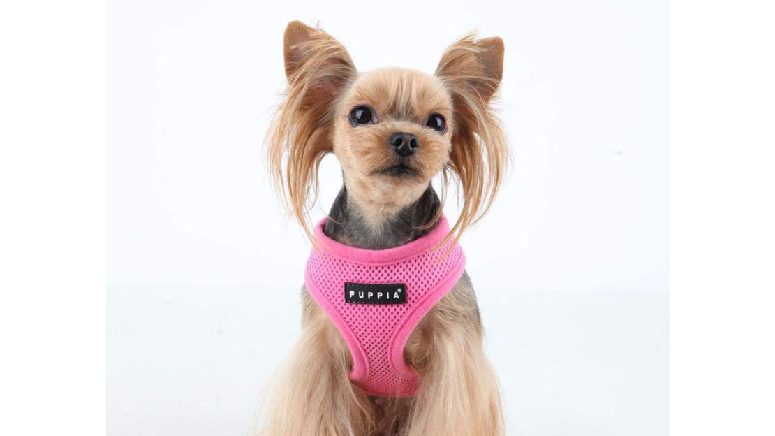 Puppia Soft Harness for Small Dogs 