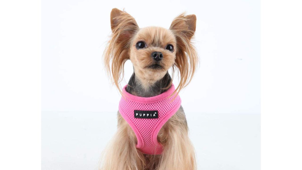 Puppia Soft Harness for Small Dogs 