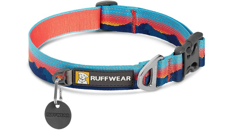 Best looking 2025 dog collars