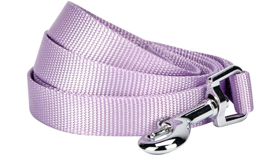 Blueberry Pet Essentials Classic Dog Leash 