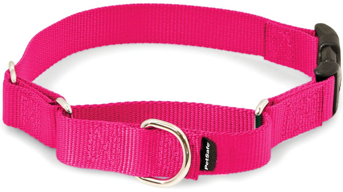 PetSafe Martingale Dog Collar 