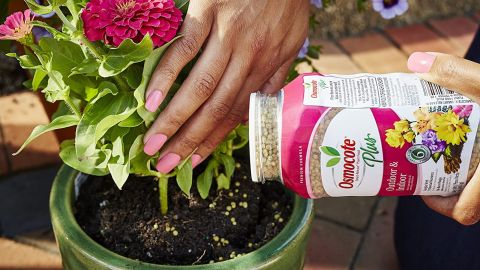 Osmocote Smart-Release Plant Food Plus Outdoor & Indoor