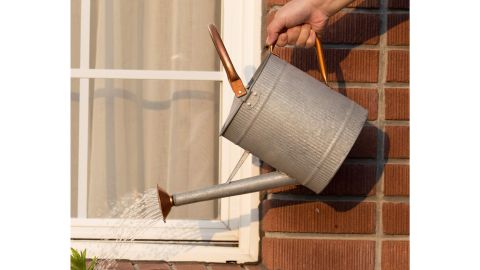 Hortican Galvanized Watering Can
