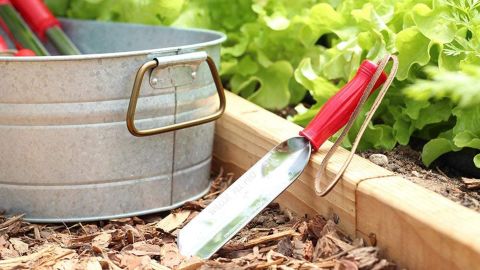 Wilcox All-Pro 202S Stainless Steel Garden Trowel