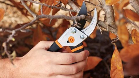 Fiskars Pruning Shears