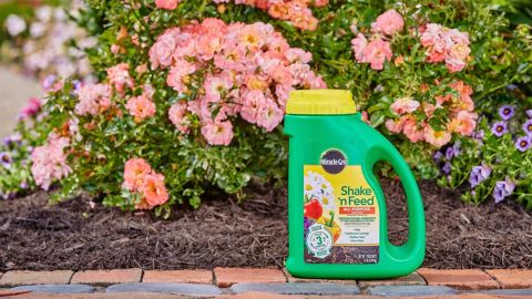 Miracle-Gro Shake 'n Feed All Purpose Plant Food
