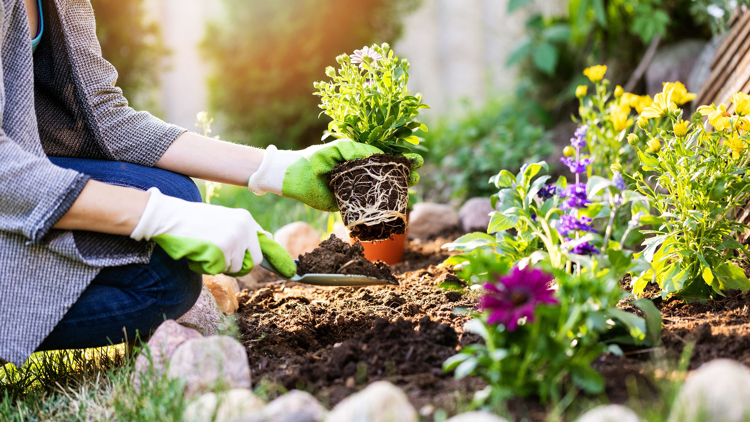 Get Tips Here For A Thriving Garden!