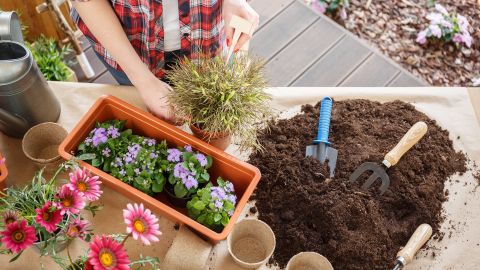 gardening1