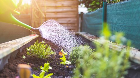 gardening2