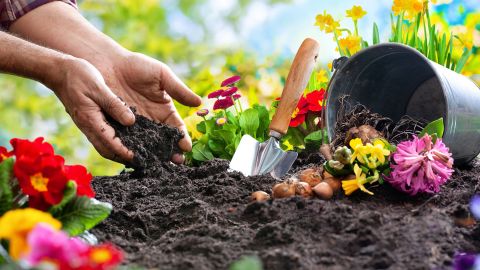 gardening3