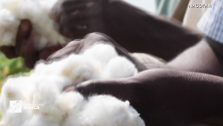 marketplace africa nigeria cotton exports farmers spc_00002226.png