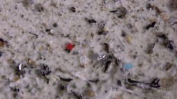 A close-up image of microplastics, which researchers found cycle the globe through the atmosphere in a new study.