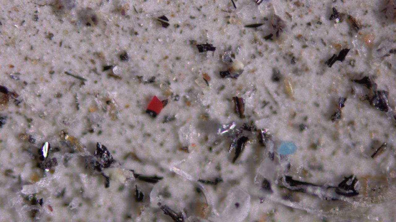 A close-up image of microplastics, which researchers found cycle the globe through the atmosphere.
