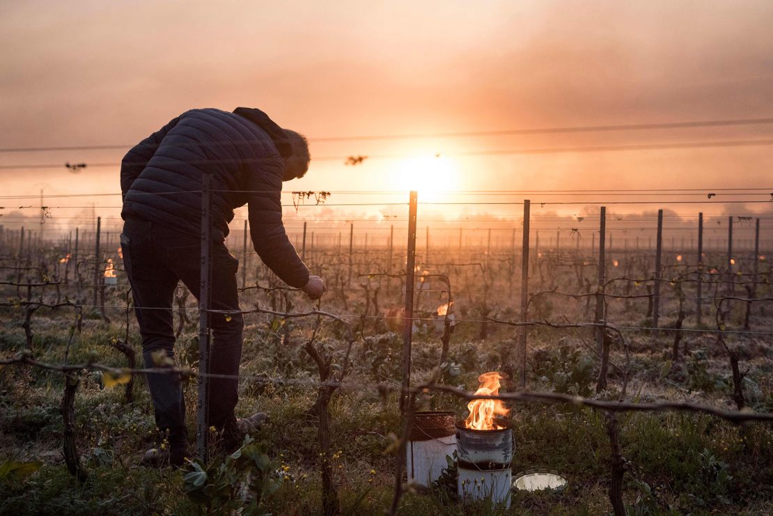A man checks vine buds as anti-frost candles burn in the Luneau-Papin vineyard near Nantes on April 12.