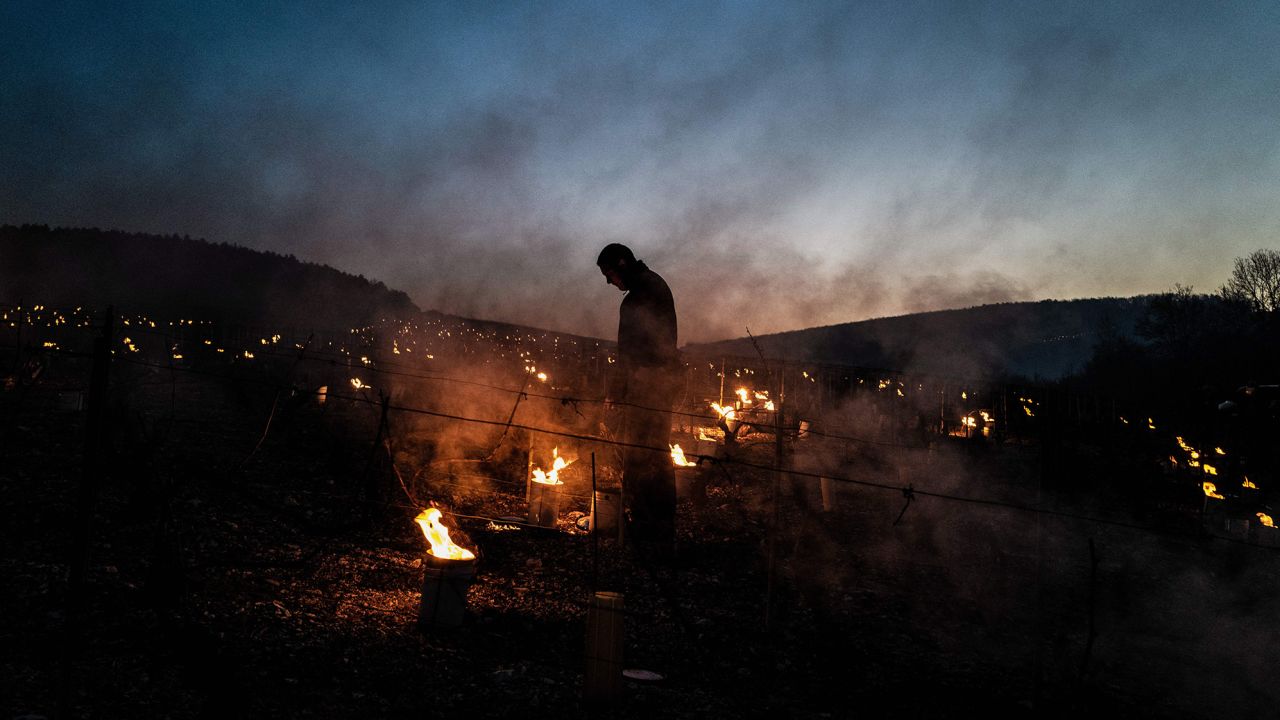 A winegrower from the Daniel-Etienne Defaix wine estate lights candles in a vineyard near Chablis, Burgundy.