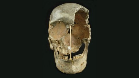  The skull of a modern human female individual from Zlatý kůň.