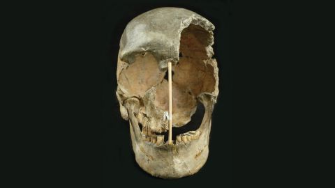 The skull of a modern human female individual from Zlatý kůň.