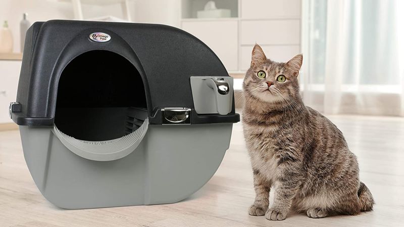 best large litter box for multiple cats