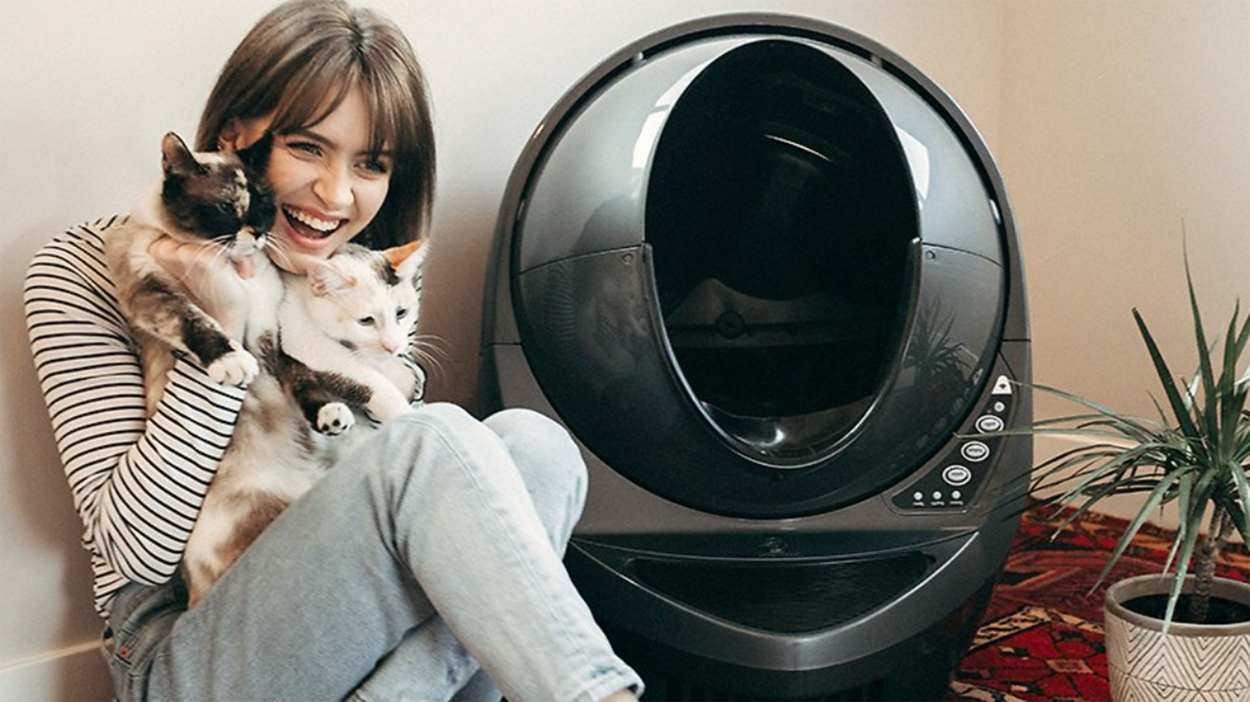 7 of the Best Cat Litter Boxes, According to Experts