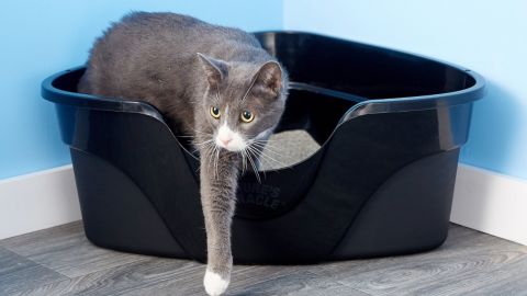 Nature's Miracle High Sided Corner Litter Box