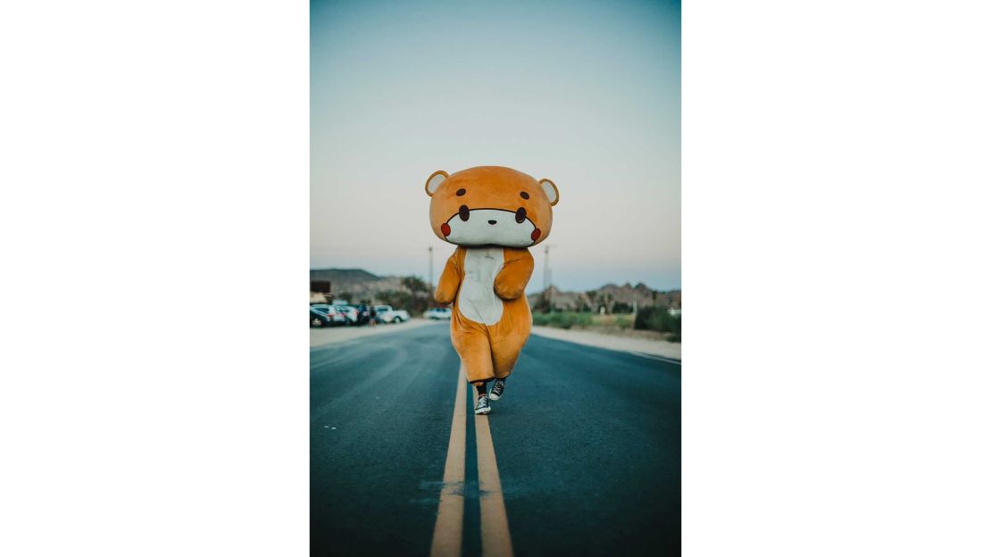 Meet Bearsun, the real-life teddy bear on a journey from Los