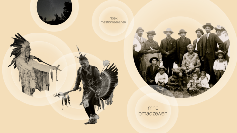 lost languages card image