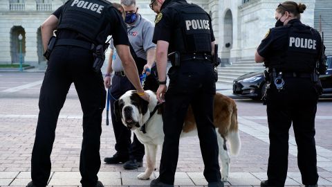 US Capitol Police officers pet official police comfort dog Officer Clarence as they wait for the casket of slain U.S. Capitol Police officer William "Billy" Evans to leave the Capitol after he was lying in honor at the Capitol in April.