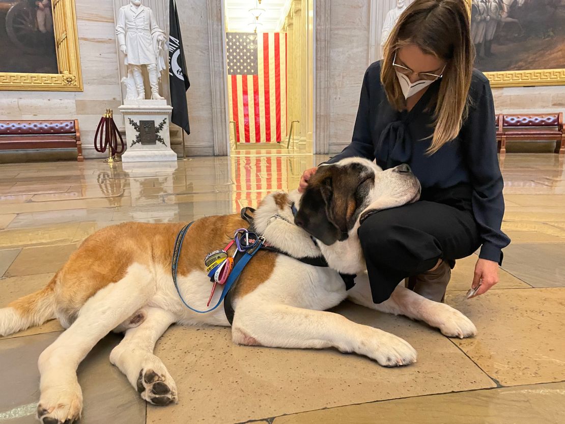 CNN's Lauren Fox is seen with Clarence earlier this week.