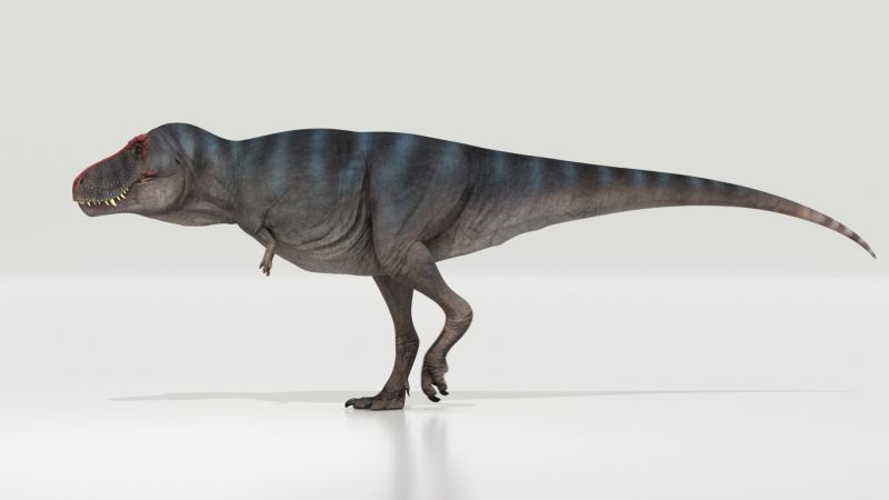 T rex dinosaur could not have run at high speed - The Statesman
