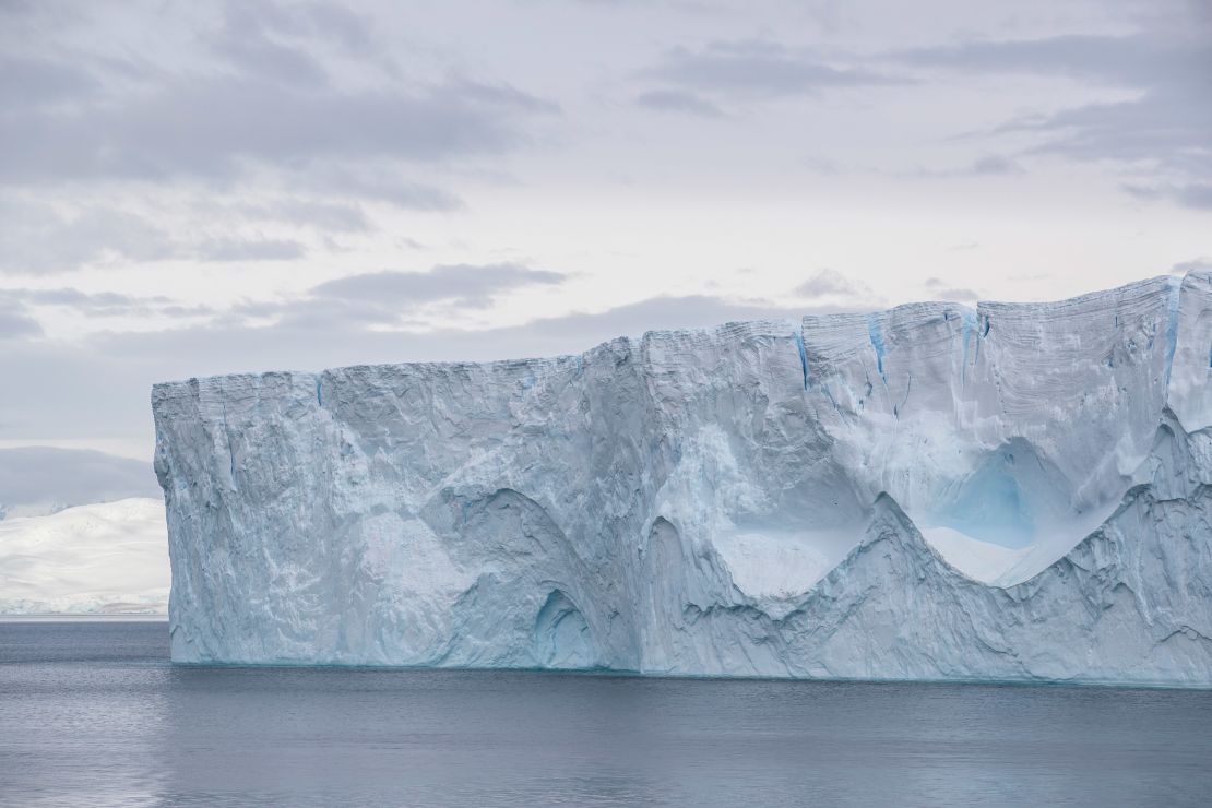 The Blue Nature Alliance is working to protect 1.5 million square miles of ocean in Antarctica. 